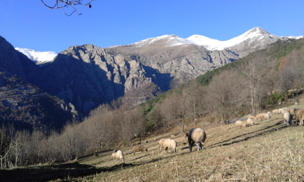 Allotjament Taga Ribes De Freser Exterior foto